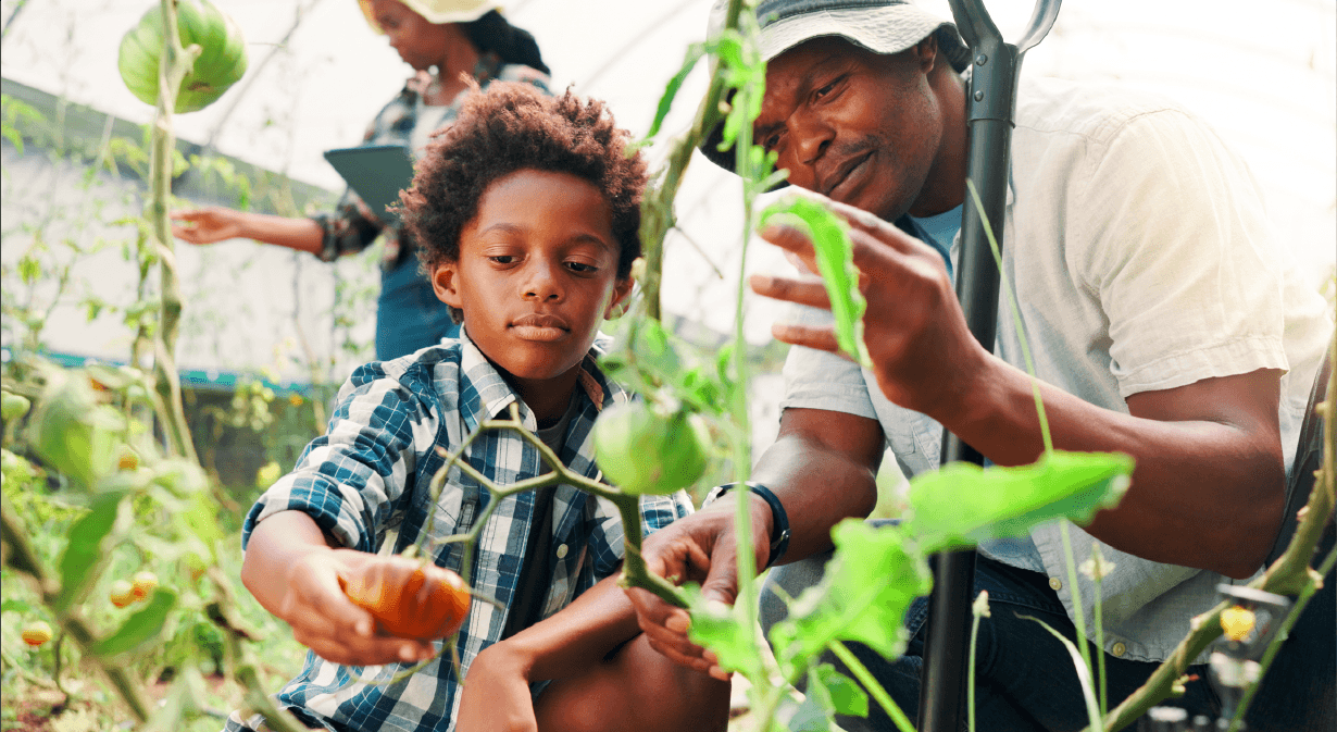 InvestingPensionsGardeningLTSImage